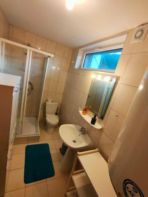 Industriel F3 Appartement Thann Dış mekan fotoğraf